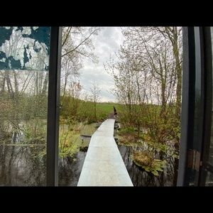 Meet your Posher, Mackenzie